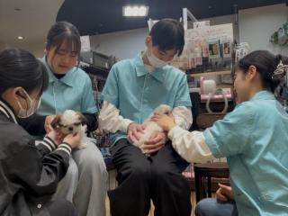 ペットショップでの実習！