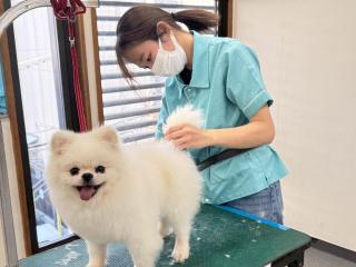 現場に近い実習！