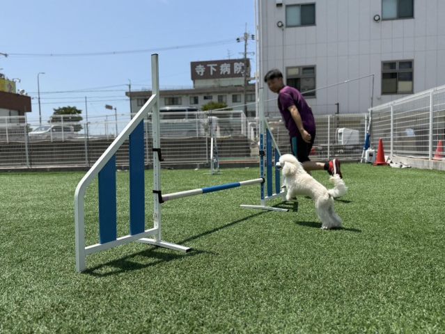 ドッグトレーナーコース ドッグトレーナーコース(2年制)