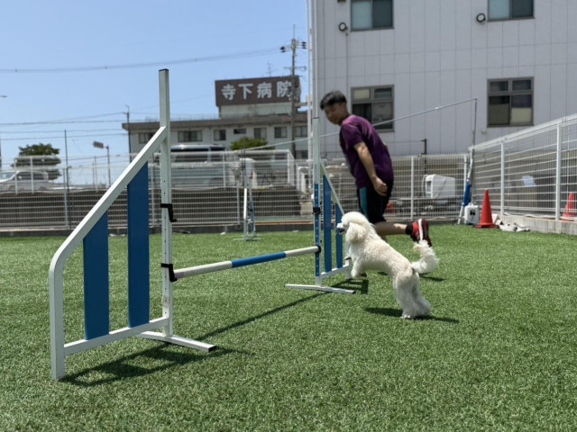 ドッグトレーナーコース ドッグトレーナーコース(2年制)