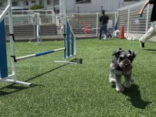 注目のカリキュラム