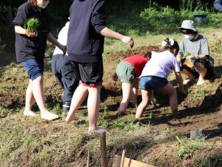 植草共生の森（ビオトープ）