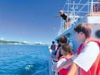 コミュニティ政策学科学部・学科・コース情報