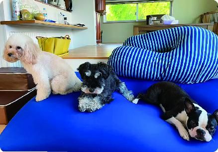 施設・設備のポイント 写真3