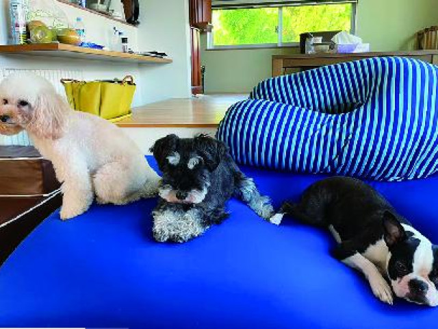 施設・設備のポイント 写真3