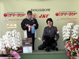  群馬トリマー専門学院 101GROOMINGSCHOOLからのニュース画像[13047]