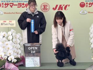  群馬トリマー専門学院 101GROOMINGSCHOOLからのニュース画像[13048]