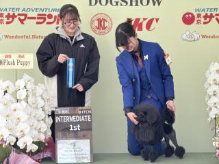  群馬トリマー専門学院 101GROOMINGSCHOOLからのニュース画像[13049]