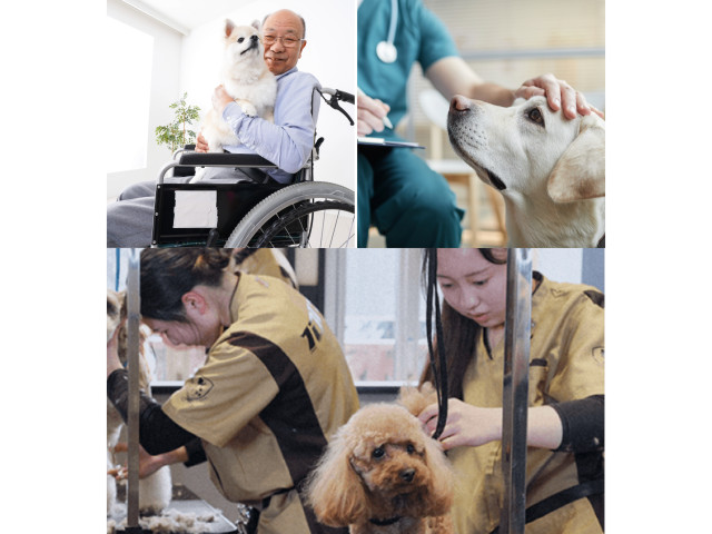 「2年制」「2年半制」動物福祉・医療&トリマーコース（2年制・2年半制はお好きな方をご選択できます。） 動物福祉・医療&トリマーコース