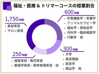 注目のカリキュラム