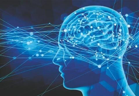 高度ICTデザイン学科 AIソリューション専攻 最新AI技術を用いて、業界ニーズに応えるAIサービスの具現化を目指す!