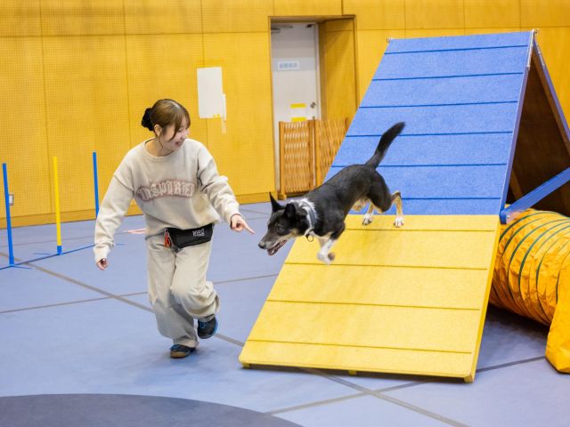 神戸動植物環境専門学校の写真