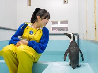 神戸動植物環境専門学校オープンキャンパス特集1の写真