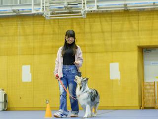 神戸動植物環境専門学校オープンキャンパス特集2の写真