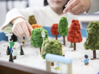 注目のカリキュラム