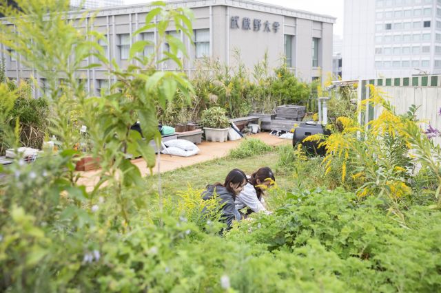 工学部 SDGs・数理工学・建築の専門知識を身に付け、持続可能な社会を構築する人材になる