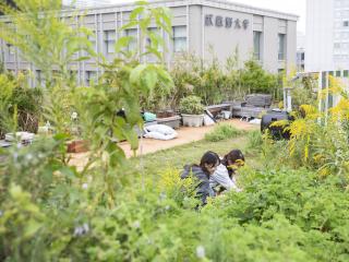学部・学科・コース情報