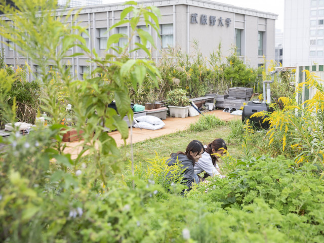 工学部 SDGs・数理工学・建築の専門知識を身に付け、持続可能な社会を構築する人材になる