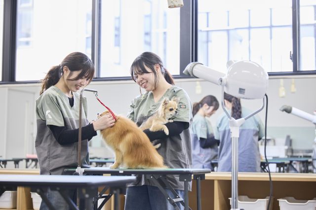 国際ペット専門学校 金沢
