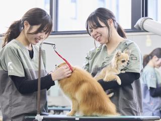 国際ペット専門学校 金沢