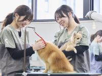 国際ペット専門学校 金沢