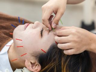 注目のカリキュラム