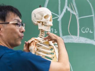 注目のカリキュラム