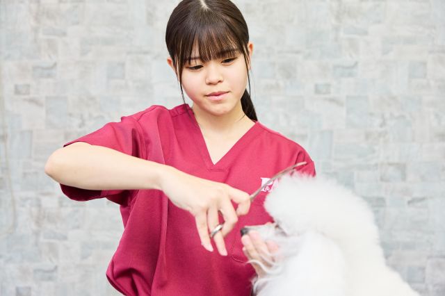 施設・設備のポイント 写真1