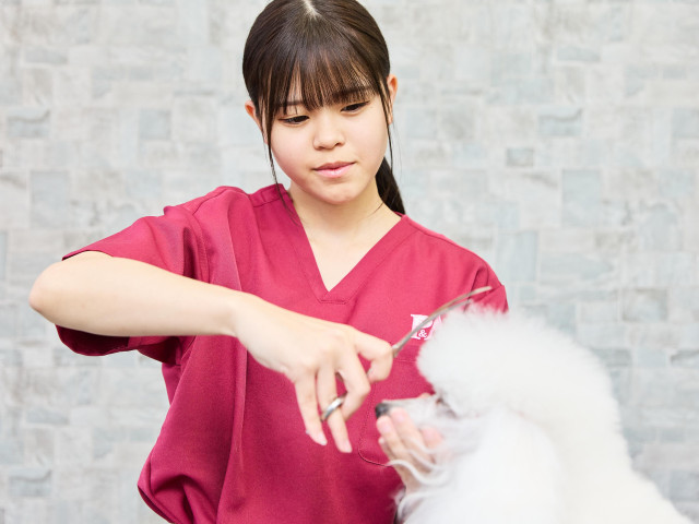 施設・設備のポイント 写真1