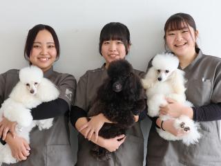 オープンキャンパス2026の画像