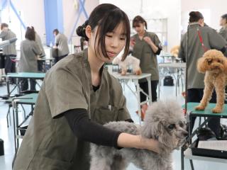 オープンキャンパス2026の画像