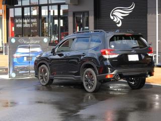 春休みSPオープンキャンパス♪  アイサイト体験会！Presented by 埼玉スバルの画像