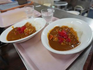 100円カレーDAY！