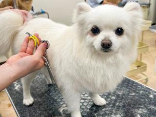 注目のカリキュラム