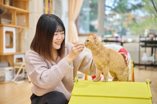 トリマー科 キャット専攻 猫と犬の幅広い知識が身につく！