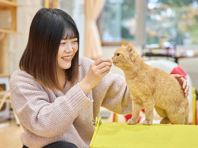 トリマー科 キャット専攻 猫と犬の幅広い知識が身につく！