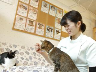 注目のカリキュラム