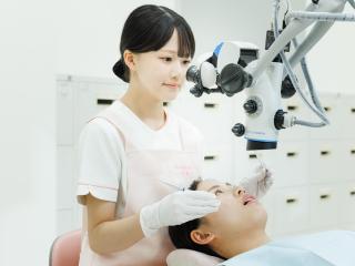 注目のカリキュラム