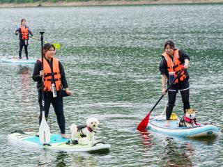 注目のカリキュラム