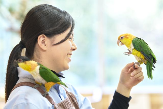 飼育管理科 飼育分野のプロフェッショナルを育成
