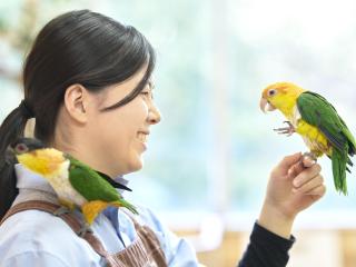 飼育管理科学部・学科・コース情報