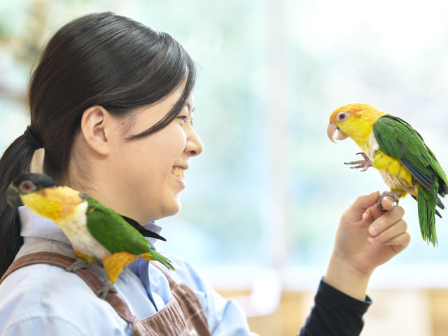 飼育管理科 飼育分野のプロフェッショナルを育成