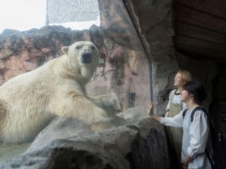 注目のカリキュラム