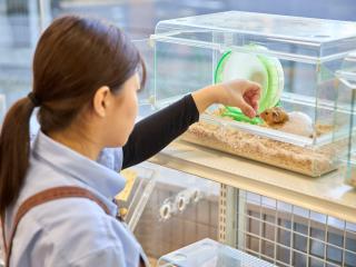 注目のカリキュラム