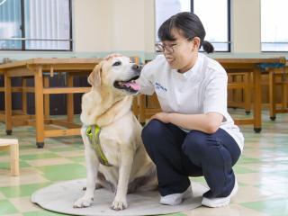 注目のカリキュラム