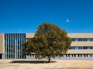 第1回 学校見学会(3/14、午前の部)※学校概要説明のみの画像