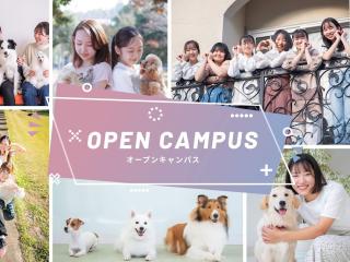 オープンキャンパスで ｉASCを体験しよう！の画像