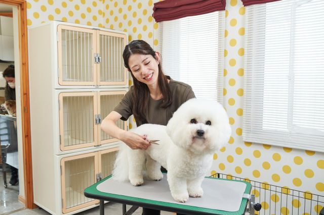 メディカルトリマー学科 トリミング・動物看護から栄養学まで学び、メディカルトリマーに！