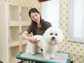 メディカルトリマー学科学部・学科・コース情報