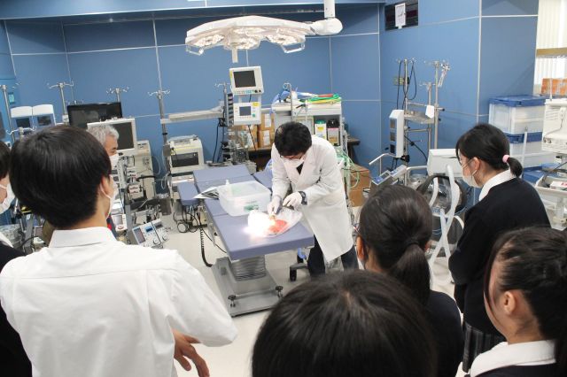 つくば国際大学